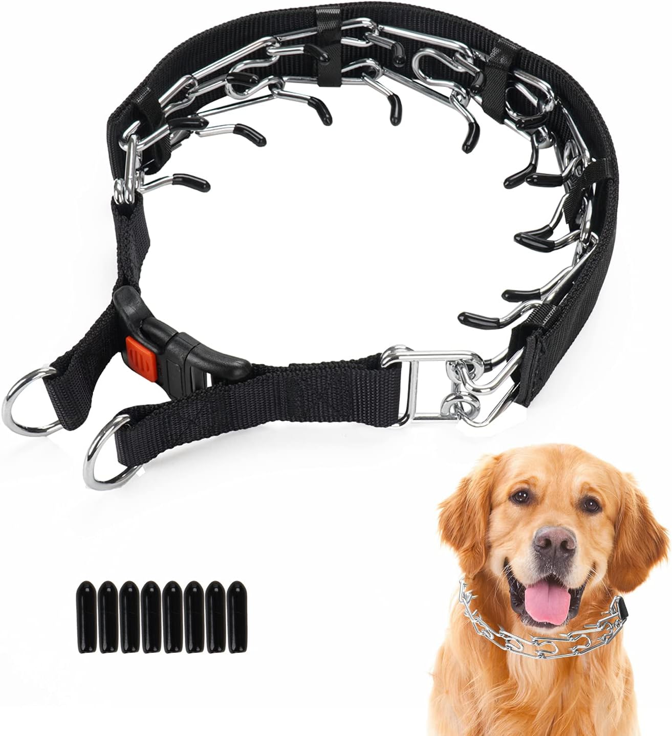 Wiotar Dog Prong Training Collar