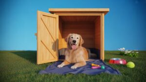 0010 1 a vibrant photorealistic image of a gold gDEBt0yYW Whu yfQswihQ M3ImytQxQYiqpooA8BT8BQ cover